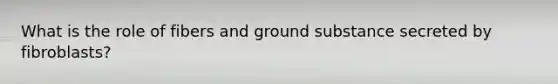 What is the role of fibers and ground substance secreted by fibroblasts?