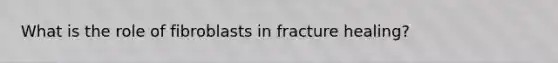 What is the role of fibroblasts in fracture healing?