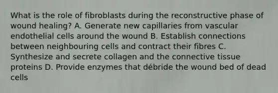 What is the role of fibroblasts during the reconstructive phase of wound healing? A. Generate new capillaries from vascular endothelial cells around the wound B. Establish connections between neighbouring cells and contract their fibres C. Synthesize and secrete collagen and the connective tissue proteins D. Provide enzymes that débride the wound bed of dead cells