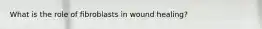 What is the role of fibroblasts in wound healing?
