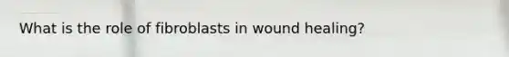 What is the role of fibroblasts in wound healing?