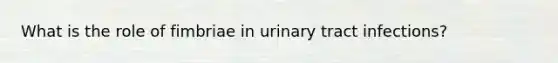 What is the role of fimbriae in urinary tract infections?