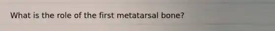 What is the role of the first metatarsal bone?