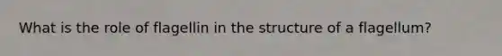 What is the role of flagellin in the structure of a flagellum?