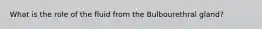 What is the role of the fluid from the Bulbourethral gland?