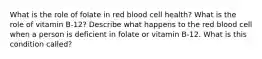 What is the role of folate in red blood cell health? What is the role of vitamin B-12? Describe what happens to the red blood cell when a person is deficient in folate or vitamin B-12. What is this condition called?