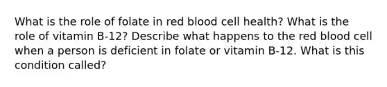 What is the role of folate in red blood cell health? What is the role of vitamin B-12? Describe what happens to the red blood cell when a person is deficient in folate or vitamin B-12. What is this condition called?