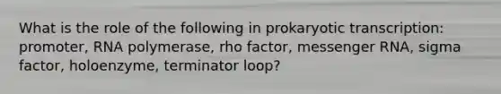 What is the role of the following in prokaryotic transcription: promoter, RNA polymerase, rho factor, messenger RNA, sigma factor, holoenzyme, terminator loop?