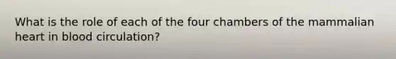 What is the role of each of the four chambers of the mammalian heart in blood circulation?