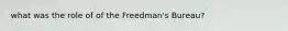 what was the role of of the Freedman's Bureau?