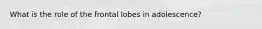 What is the role of the frontal lobes in adolescence?