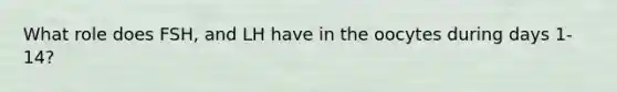 What role does FSH, and LH have in the oocytes during days 1-14?