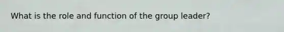 What is the role and function of the group leader?