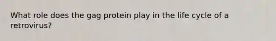 What role does the gag protein play in the life cycle of a retrovirus?