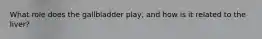 What role does the gallbladder play, and how is it related to the liver?