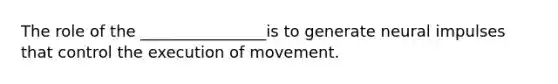 The role of the ________________is to generate neural impulses that control the execution of movement.