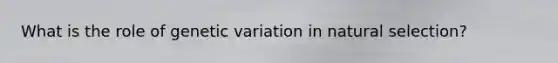 What is the role of genetic variation in natural selection?