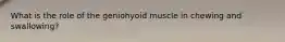 What is the role of the geniohyoid muscle in chewing and swallowing?