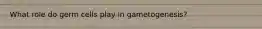 What role do germ cells play in gametogenesis?