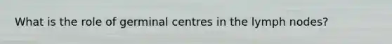 What is the role of germinal centres in the lymph nodes?