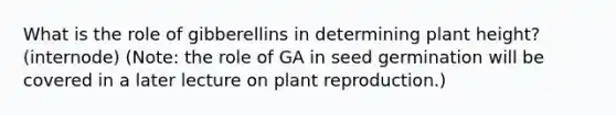 What is the role of gibberellins in determining plant height? (internode) (Note: the role of GA in seed germination will be covered in a later lecture on plant reproduction.)