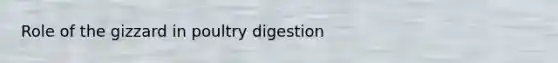 Role of the gizzard in poultry digestion