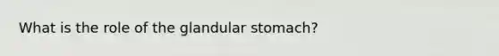 What is the role of the glandular stomach?