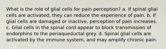 What is the role of glial cells for pain perception? a. If spinal glial cells are activated, they can reduce the experience of pain. b. If glial cells are damaged or inactive, perception of pain increases. c. Glial cells in <a href='https://www.questionai.com/knowledge/kkAfzcJHuZ-the-spinal-cord' class='anchor-knowledge'>the spinal cord</a> appear to block transmission of endorphins to the periaqueductal grey. d. Spinal glial cells are activated by the immune system, and may amplify chronic pain.