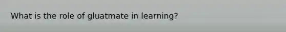 What is the role of gluatmate in learning?