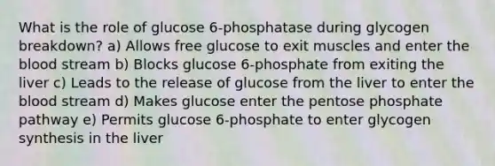 What is the role of glucose 6-phosphatase during glycogen breakdown? a) Allows free glucose to exit muscles and enter the blood stream b) Blocks glucose 6-phosphate from exiting the liver c) Leads to the release of glucose from the liver to enter the blood stream d) Makes glucose enter the pentose phosphate pathway e) Permits glucose 6-phosphate to enter glycogen synthesis in the liver