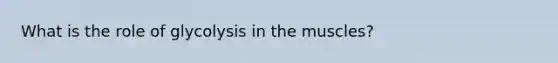 What is the role of glycolysis in the muscles?