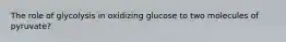 The role of glycolysis in oxidizing glucose to two molecules of pyruvate?