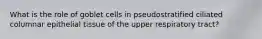 What is the role of goblet cells in pseudostratified ciliated columnar epithelial tissue of the upper respiratory tract?