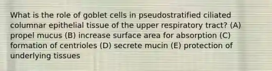 What is the role of goblet cells in pseudostratified ciliated columnar epithelial tissue of the upper respiratory tract? (A) propel mucus (B) increase surface area for absorption (C) formation of centrioles (D) secrete mucin (E) protection of underlying tissues