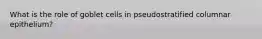 What is the role of goblet cells in pseudostratified columnar epithelium?