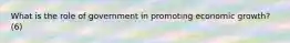 What is the role of government in promoting economic growth? (6)