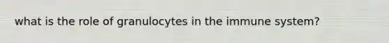 what is the role of granulocytes in the immune system?