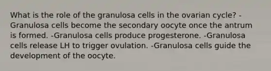 What is the role of the granulosa cells in the ovarian cycle? -Granulosa cells become the secondary oocyte once the antrum is formed. -Granulosa cells produce progesterone. -Granulosa cells release LH to trigger ovulation. -Granulosa cells guide the development of the oocyte.