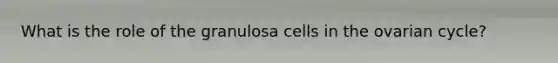 What is the role of the granulosa cells in the ovarian cycle?