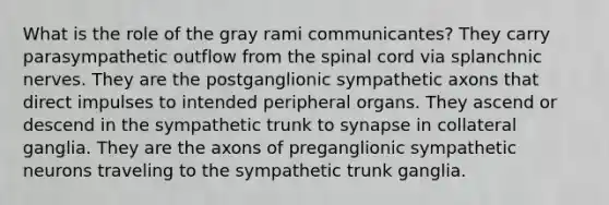 What is the role of the gray rami communicantes? They carry parasympathetic outflow from the spinal cord via splanchnic nerves. They are the postganglionic sympathetic axons that direct impulses to intended peripheral organs. They ascend or descend in the sympathetic trunk to synapse in collateral ganglia. They are the axons of preganglionic sympathetic neurons traveling to the sympathetic trunk ganglia.