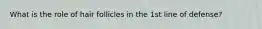 What is the role of hair follicles in the 1st line of defense?