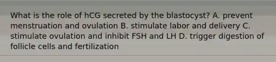 What is the role of hCG secreted by the blastocyst? A. prevent menstruation and ovulation B. stimulate labor and delivery C. stimulate ovulation and inhibit FSH and LH D. trigger digestion of follicle cells and fertilization