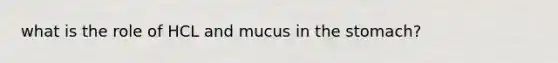 what is the role of HCL and mucus in the stomach?