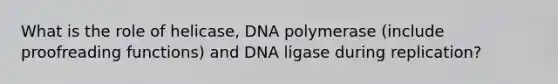 What is the role of helicase, DNA polymerase (include proofreading functions) and DNA ligase during replication?