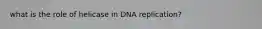 what is the role of helicase in DNA replication?