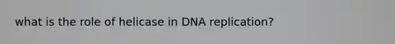 what is the role of helicase in DNA replication?