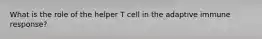 What is the role of the helper T cell in the adaptive immune response?