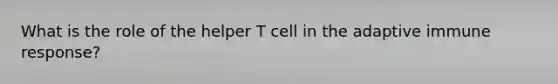 What is the role of the helper T cell in the adaptive immune response?