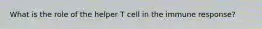 What is the role of the helper T cell in the immune response?