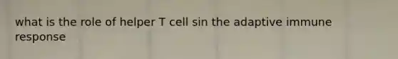 what is the role of helper T cell sin the adaptive immune response
